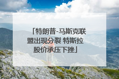 特朗普-马斯克联盟出现分裂 特斯拉股价承压下挫