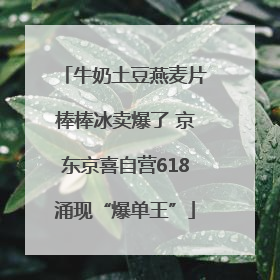 牛奶土豆燕麦片棒棒冰卖爆了 京东京喜自营618涌现“爆单王”