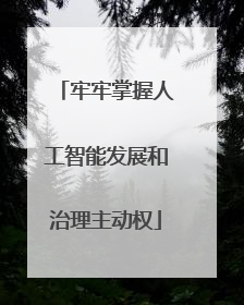 牢牢掌握人工智能发展和治理主动权