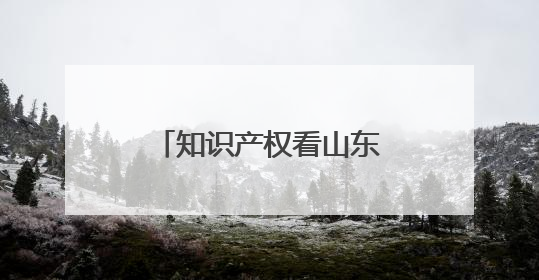 知识产权看山东｜聊城市举办全市第二期涉外知识产权保护培训班