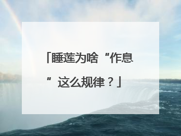 睡莲为啥“作息”这么规律？