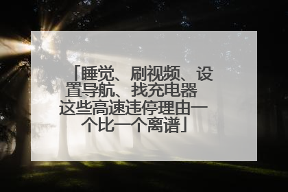 睡觉、刷视频、设置导航、找充电器 这些高速违停理由一个比一个离谱