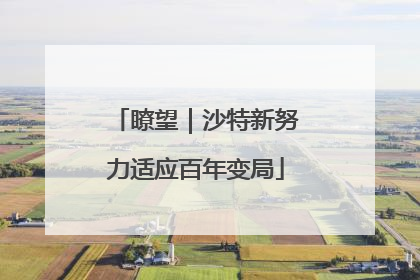 瞭望｜沙特新努力适应百年变局
