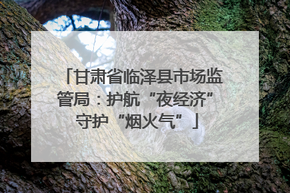 甘肃省临泽县市场监管局：护航“夜经济” 守护“烟火气”