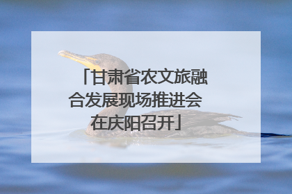 甘肃省农文旅融合发展现场推进会在庆阳召开
