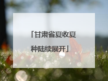 甘肃省夏收夏种陆续展开