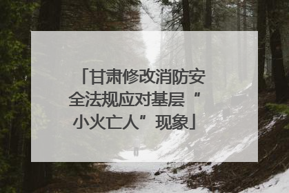 甘肃修改消防安全法规应对基层“小火亡人”现象