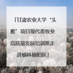 甘肃农业大学“头雁”项目现代畜牧业高质量发展培训班走进榆林榆阳区