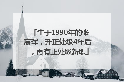 生于1990年的张宸珲，升正处级4年后，再有正处级新职
