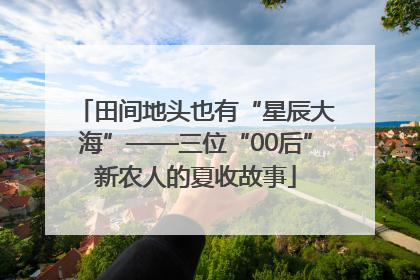 田间地头也有“星辰大海”——三位“00后”新农人的夏收故事