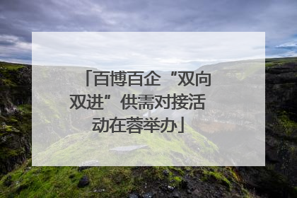 百博百企“双向双进”供需对接活动在蓉举办