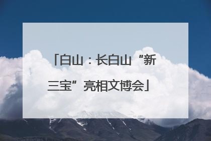 白山：长白山“新三宝”亮相文博会