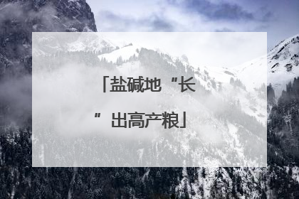 盐碱地“长”出高产粮