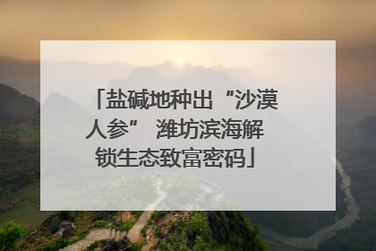 盐碱地种出“沙漠人参” 潍坊滨海解锁生态致富密码