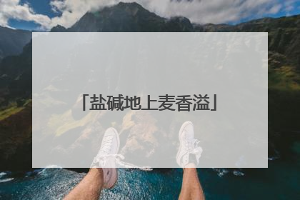 盐碱地上麦香溢