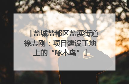 盐城盐都区盐渎街道徐志刚：项目建设工地上的“啄木鸟”
