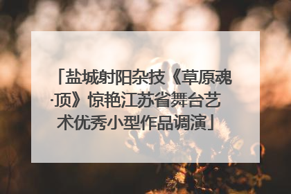 盐城射阳杂技《草原魂·顶》惊艳江苏省舞台艺术优秀小型作品调演