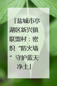 盐城市亭湖区新兴镇联盟村：密织“防火墙”守护蓝天净土