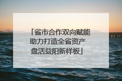 省市合作双向赋能 助力打造全省资产盘活益阳新样板