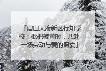 眉山天府新区行知学校：枇杷橙黄时，共赴一场劳动与爱的盛宴