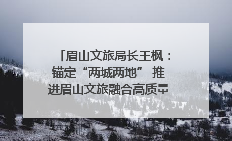 眉山文旅局长王枫：锚定“两城两地” 推进眉山文旅融合高质量发展｜文旅局长说