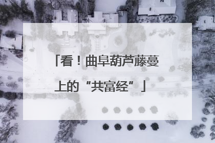 看！曲阜葫芦藤蔓上的“共富经”
