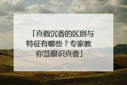 真假沉香的区别与特征有哪些？专家教你慧眼识真香