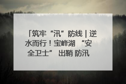 筑牢“汛”防线｜逆水而行！宝峰湖 “安全卫士” 出鞘 防汛应急再添硬核力量