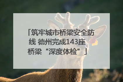 筑牢城市桥梁安全防线 德州完成143座桥梁“深度体检”