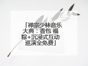 禅宗少林音乐大典：香包 福粽+沉浸式互动巡演全免费