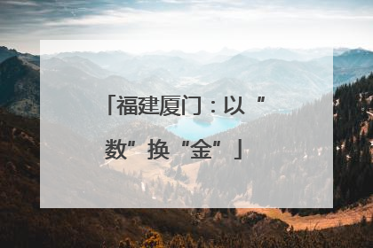福建厦门：以“数”换“金”
