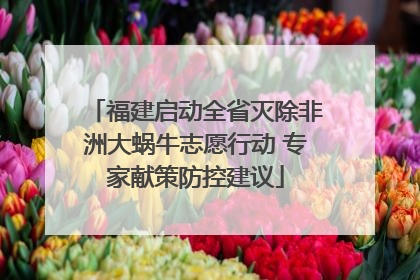 福建启动全省灭除非洲大蜗牛志愿行动 专家献策防控建议