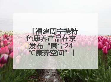 福建周宁携特色康养产品在京发布“周宁24℃康养空间”