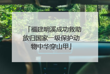 福建明溪成功救助放归国家一级保护动物中华穿山甲