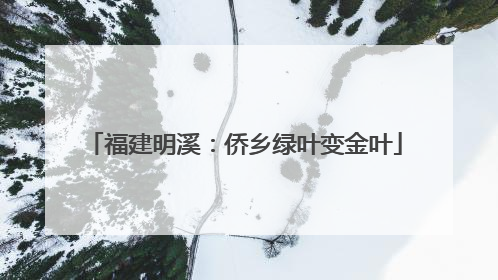 福建明溪：侨乡绿叶变金叶