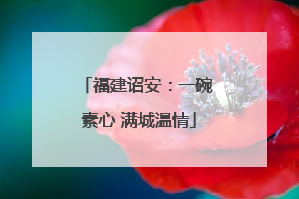 福建诏安：一碗素心 满城温情