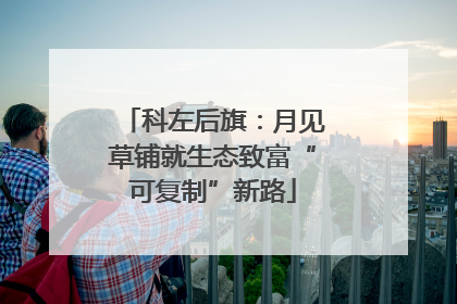 科左后旗：月见草铺就生态致富“可复制”新路