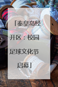 秦皇岛经开区：校园足球文化节启幕