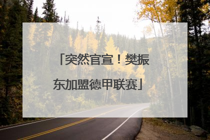 突然官宣！樊振东加盟德甲联赛