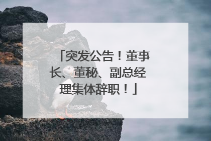 突发公告！董事长、董秘、副总经理集体辞职！