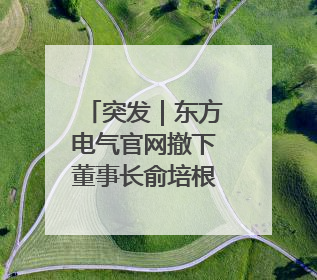 突发｜东方电气官网撤下董事长俞培根信息