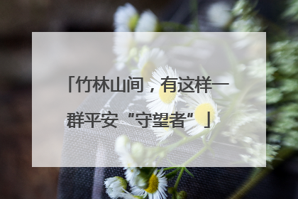 竹林山间，有这样一群平安“守望者”