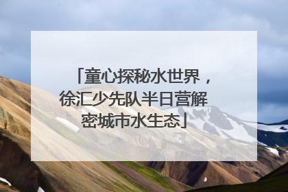 童心探秘水世界，徐汇少先队半日营解密城市水生态