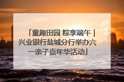 童趣田园 粽享端午｜兴业银行盐城分行举办六一亲子嘉年华活动