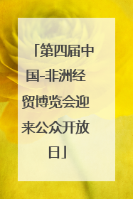 第四届中国-非洲经贸博览会迎来公众开放日