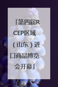 第四届RCEP区域（山东）进口商品博览会开幕