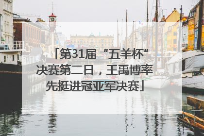 第31届“五羊杯”决赛第二日，王禹博率先挺进冠亚军决赛
