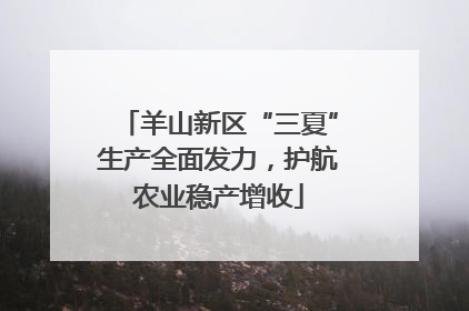 羊山新区“三夏”生产全面发力，护航农业稳产增收