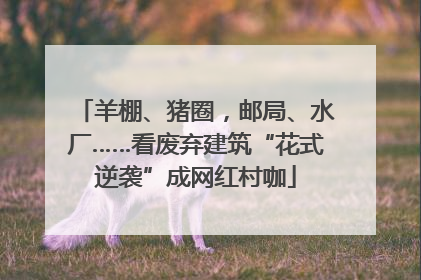 羊棚、猪圈，邮局、水厂……看废弃建筑“花式逆袭”成网红村咖