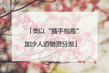 美以“插手包揽”加沙人道物资分发